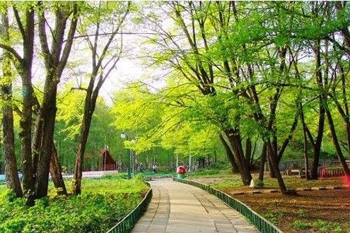 黑龍江省森林植物園保護條例