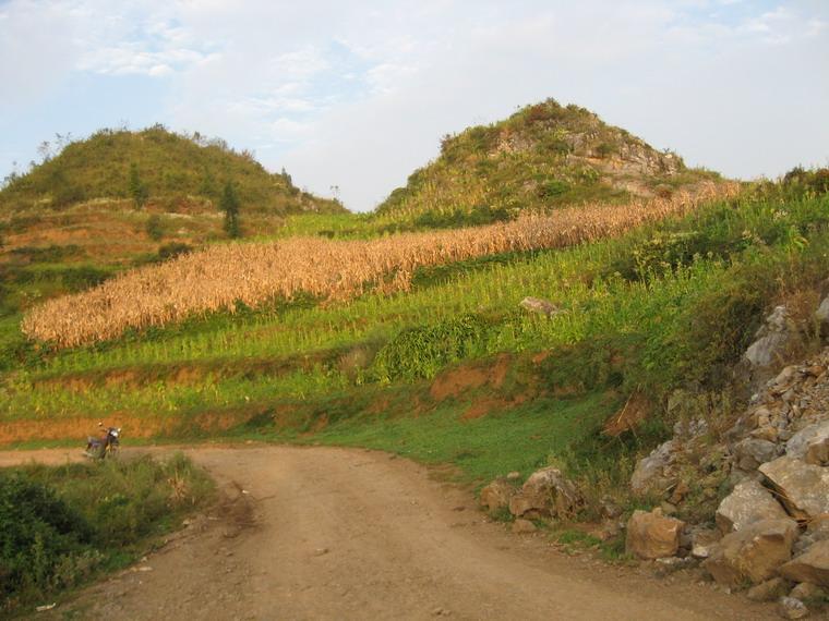 三岔灣自然村(雲南昭通鎮雄縣果珠鄉雲嶺村委三岔灣自然村)