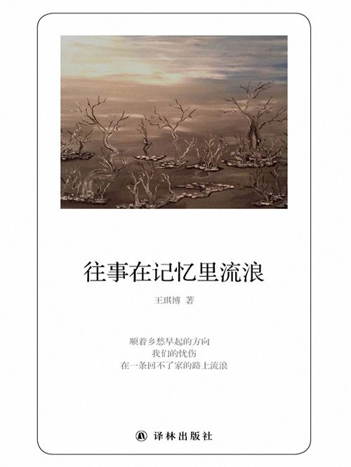 往事在記憶里流浪(王琪博創作的網路小說)