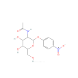 4-硝基苯基-2-乙醯胺基-2-脫氧-B-D-吡喃葡糖霉