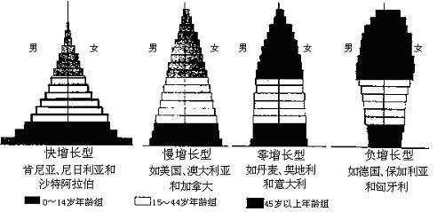 人口年齡結構