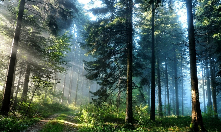 江西聖井山風景區