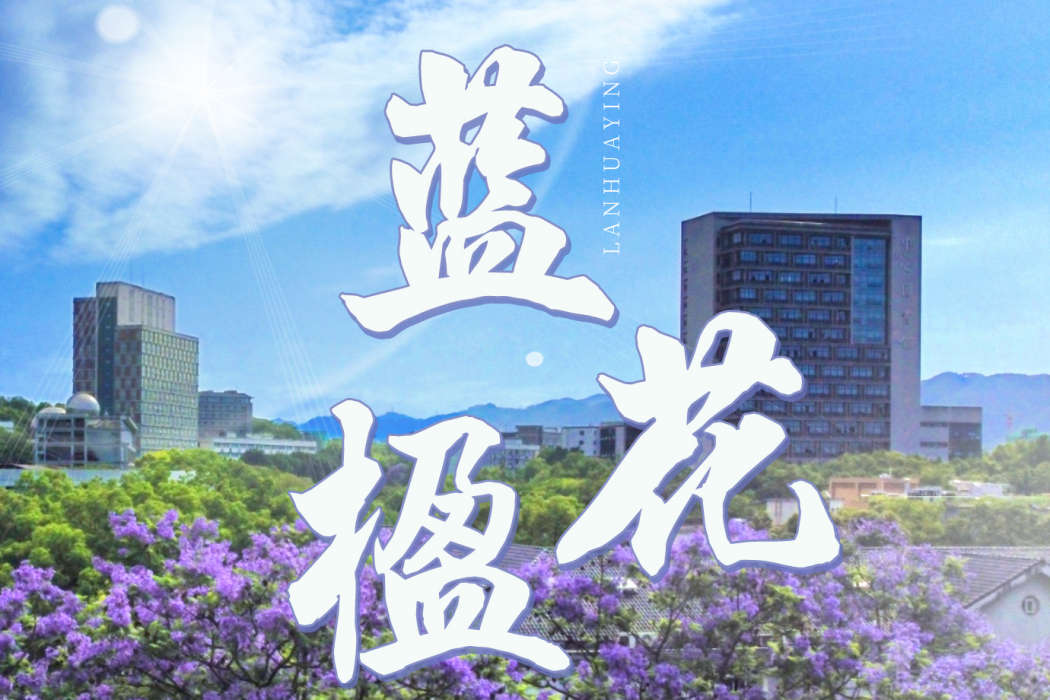 藍花楹(單曲)