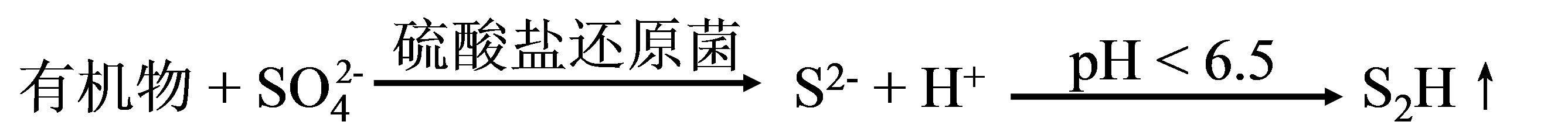 水中異味物質