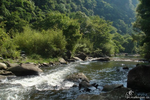 油草河