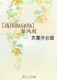 [戰國BASARA]暴風雨