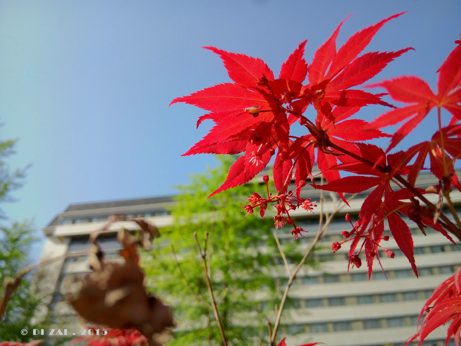 西北大學太白校區