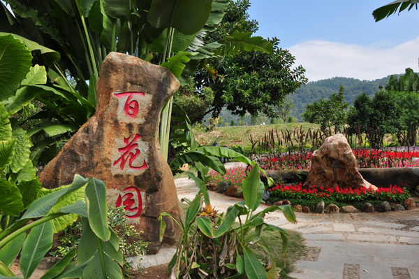 東南花都花博園