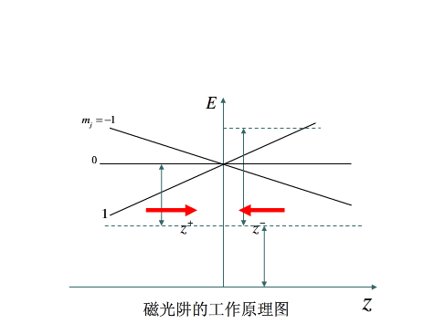 磁光阱