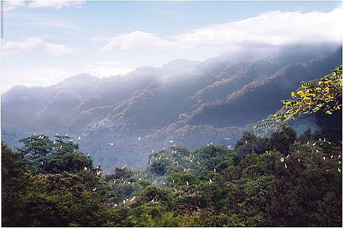 四川鎮龍山國家森林公園