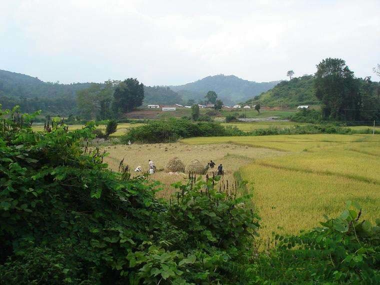 納龍村(雲南省西雙版納州景洪市普文鎮納龍村)