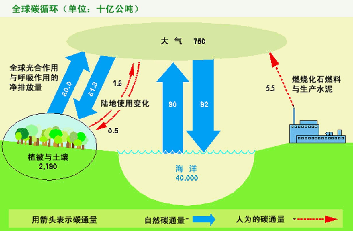 全球循環