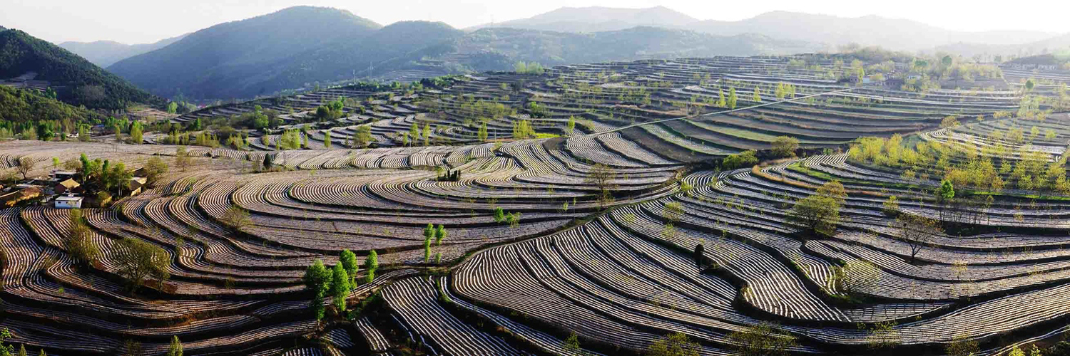 “中國美麗田園”——哭泉梯田