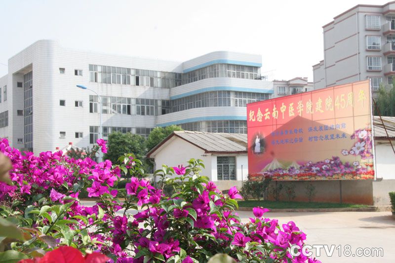 雲南省國家大學科技園