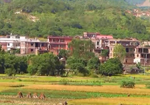 東旭村(福建南安市康美鎮下轄村)