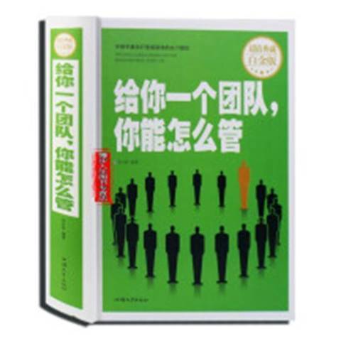 給你一個團隊，你能怎么管(2017年中國方正出版社出版的圖書)