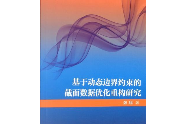 基於動態邊界約束的截面數據最佳化重構研究