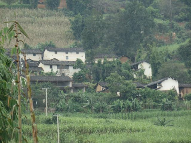 白墳田自然村