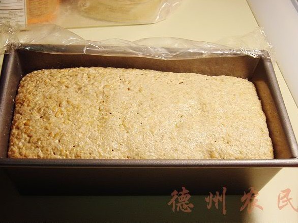 黑麥全麥麵包