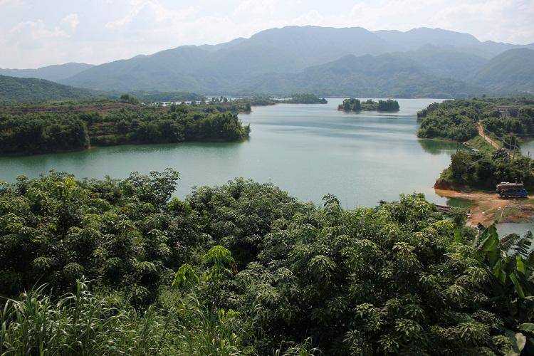 銅鑼湖農場