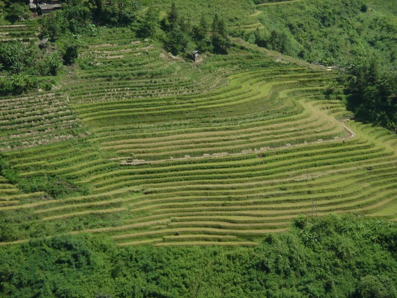 村中田園山野