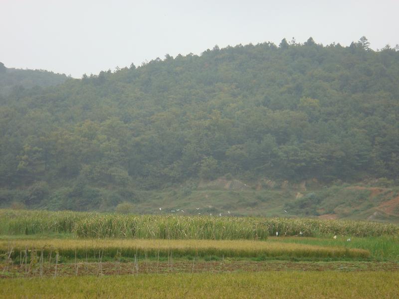 盤迤者村