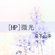 [HP]微光