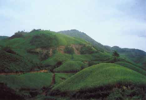 江城縣鄉村風光