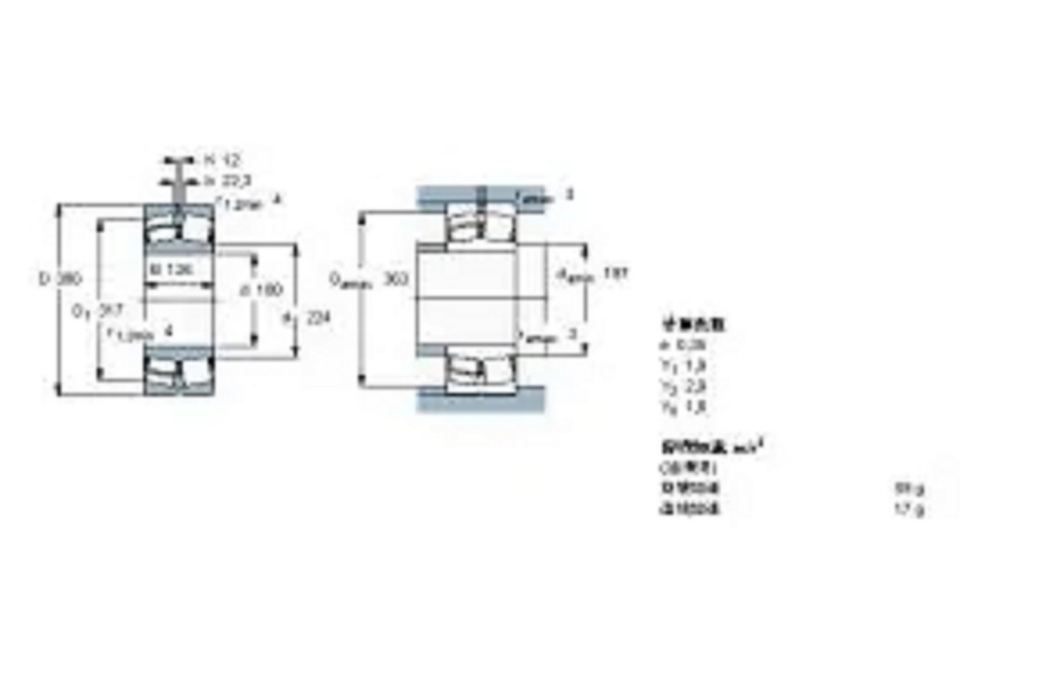 SKF 22336CCJA-W33VA405軸承