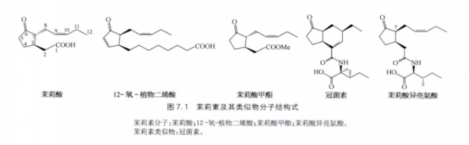 茉莉素