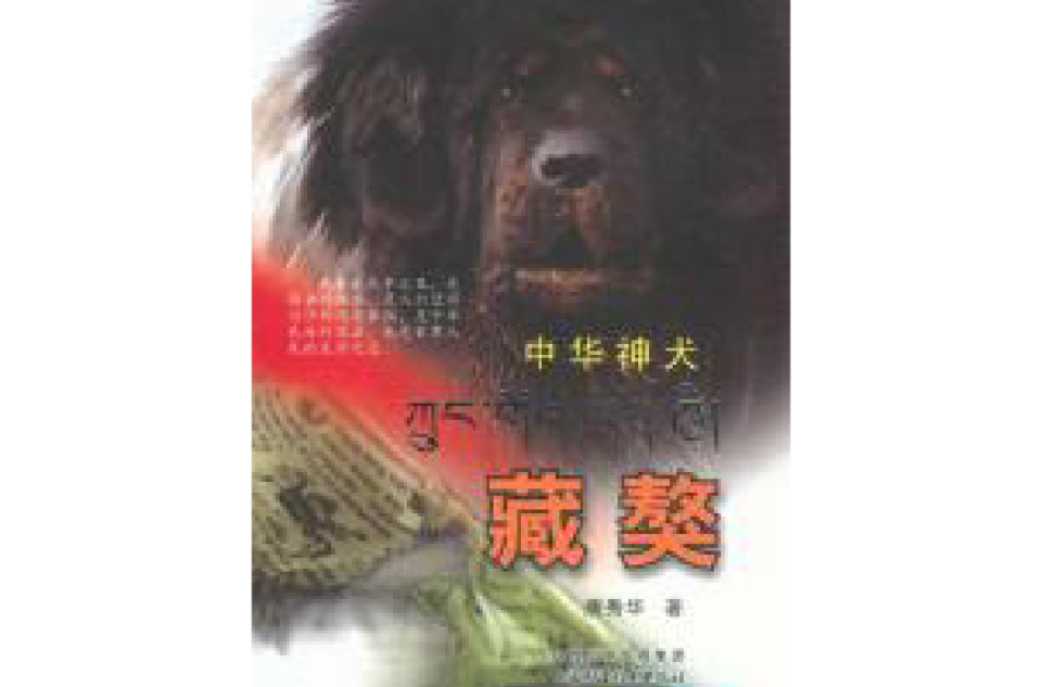 中華神犬藏獒