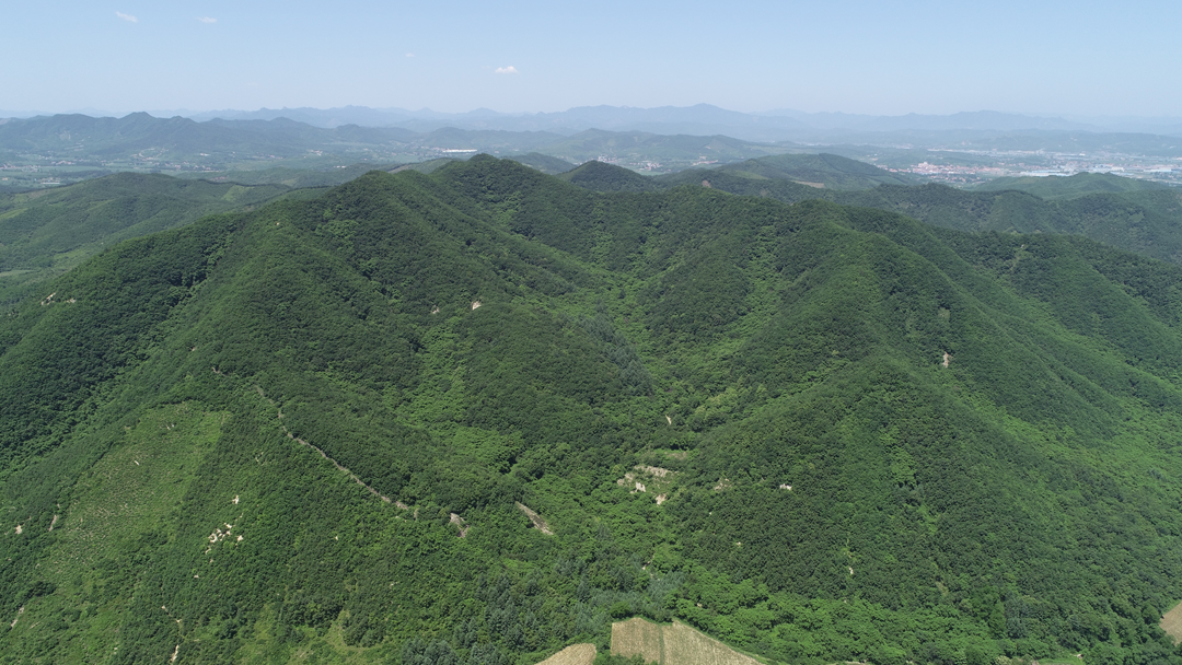 臥龍山山城遺址