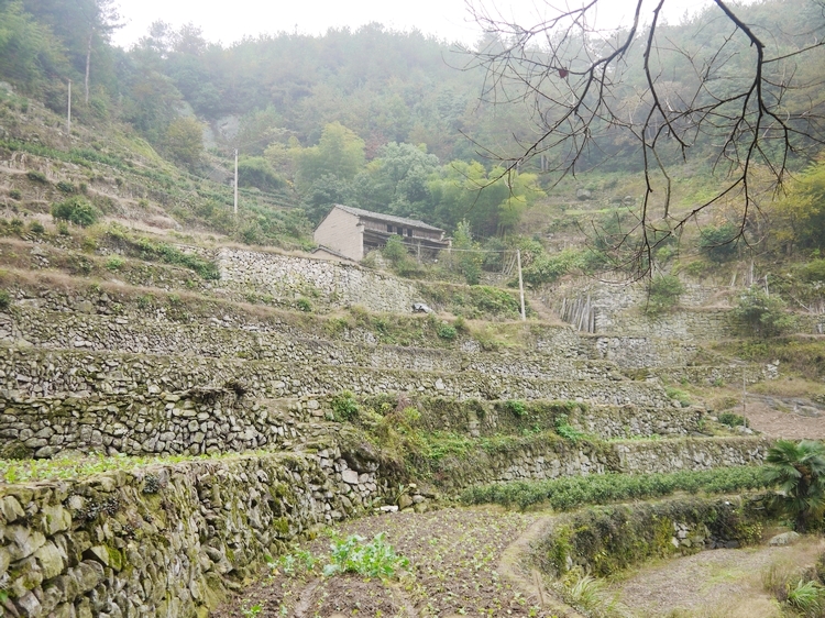 母嶺古道