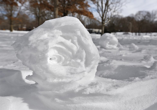 雪卷