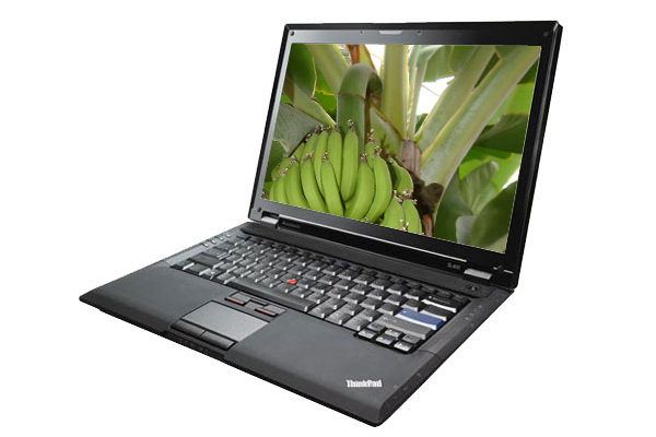 ThinkPad SL500(2746AD2)