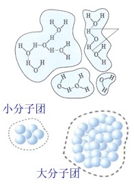 水分子的氫鍵