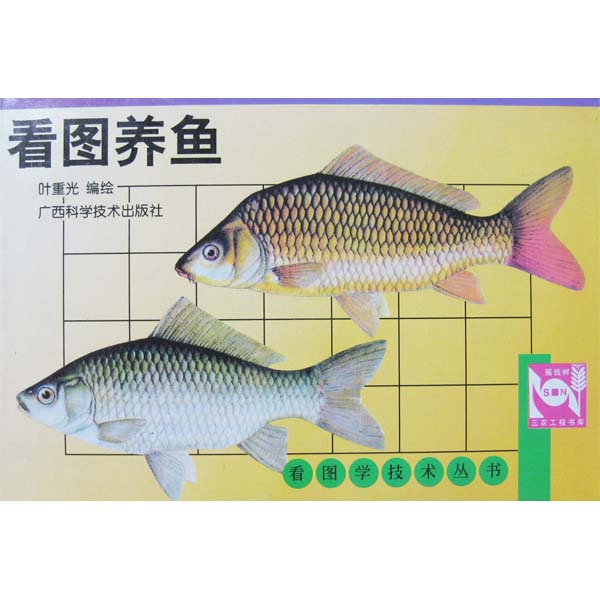 看圖養魚