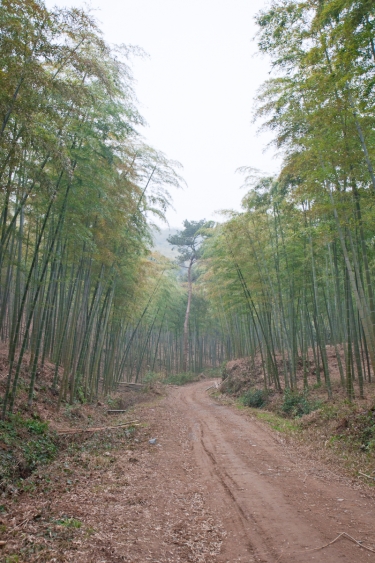 杭寧古道