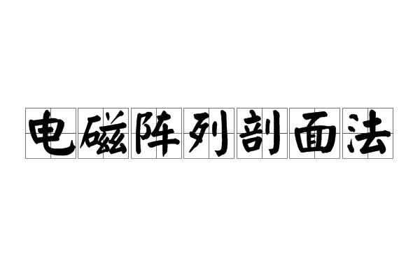 電磁陣列剖面法