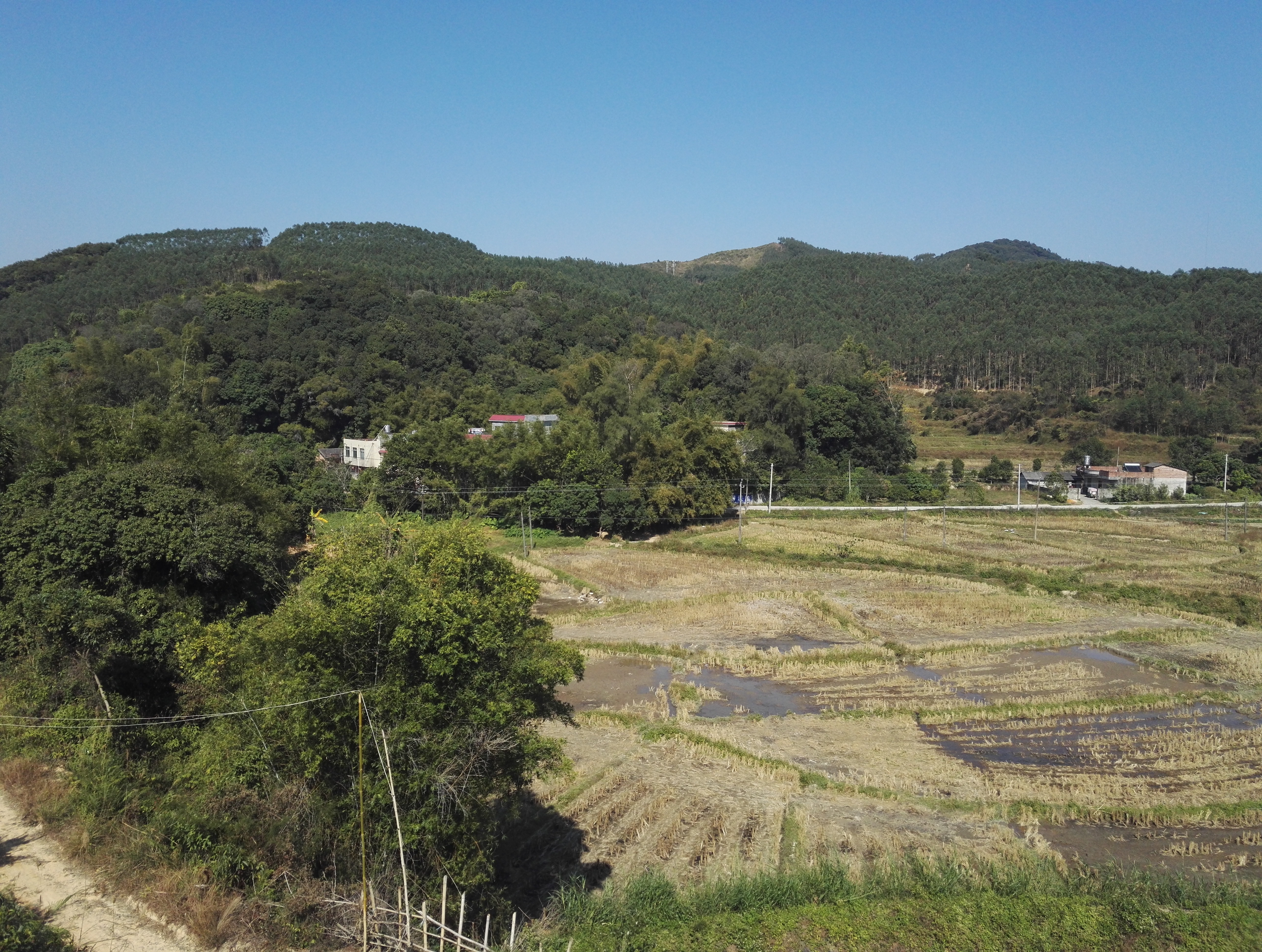 新田鎮美沙村