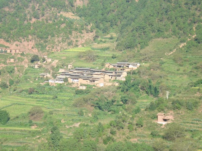 小龍箐村(雲南省楚雄州楚雄市大地基村委會下轄村)