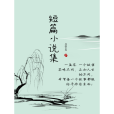 短篇小說集(風起長夜創作的小說作品集)