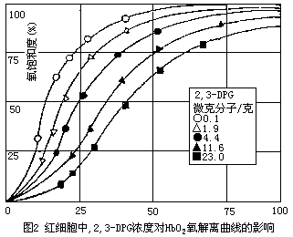 紅細胞(紅血球細胞)