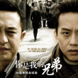 你是我兄弟(中國2010年鄧超、董潔、張嘉譯主演電視劇)