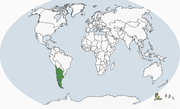 阿根廷鸊鷉分布圖