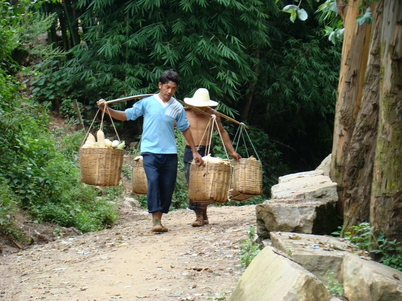 楊家半自然村通村道路