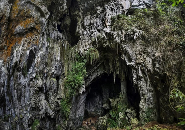 大陰洞遺址