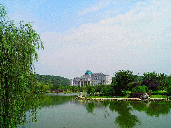 遠眺母山防汛基地