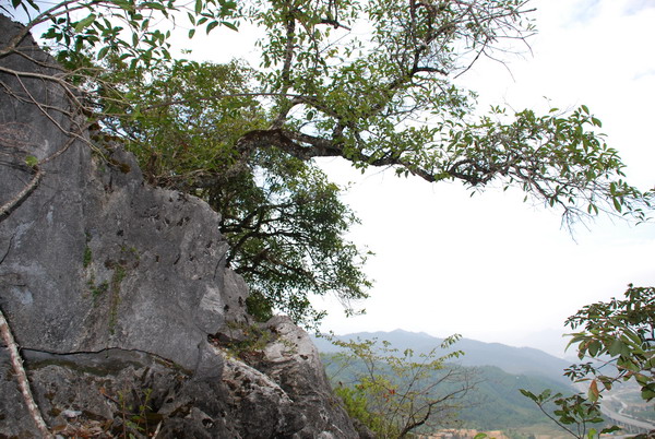 將樂天階山國家森林公園