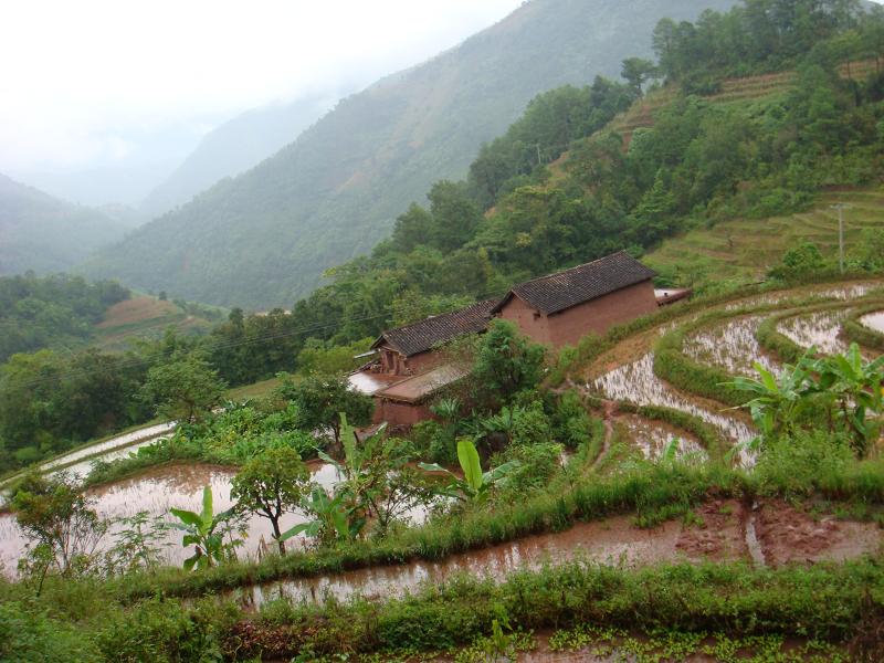 新發自然村(雲南昆明盤龍區阿子營鄉鼠街村委新發自然村)